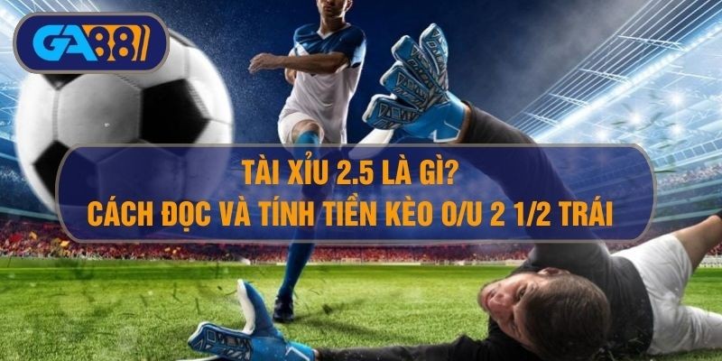 3BET Tài xỉu 2.5 là gì? Hướng dẫn đọc kèo, tính tiền tài xỉu 2 1/2